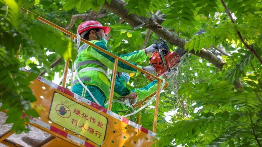 狮泉河北山绿化工程