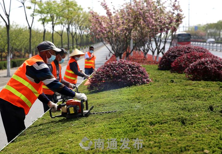 草坪养护不到位、花卉丢失频繁，风景园林管理待加强！