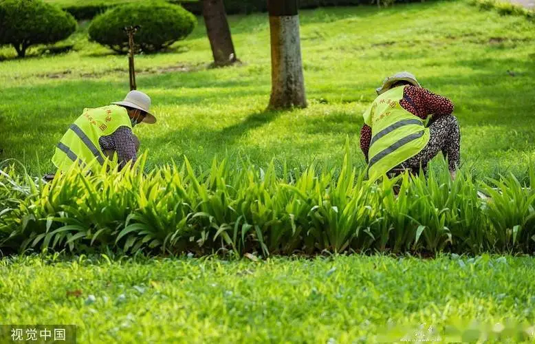 家庭园林景观设计水池形状