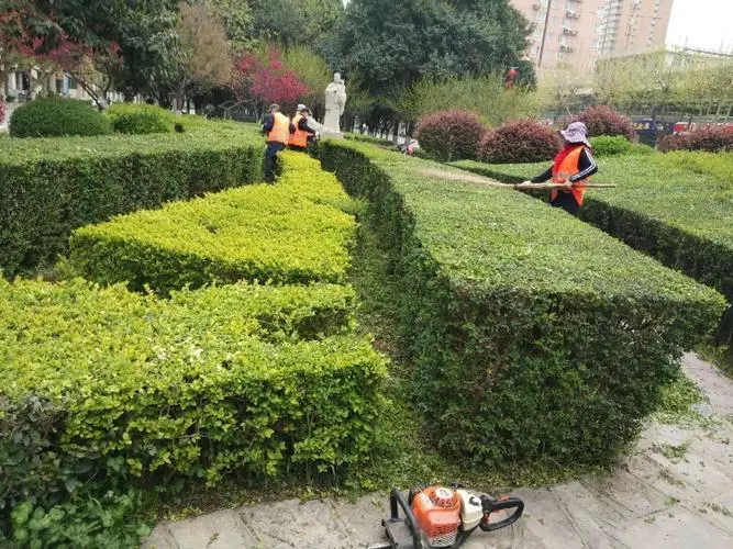 丹江口城市绿化工程施工及验收规范最新